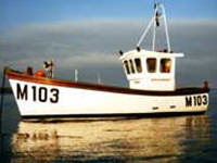 Holton 24